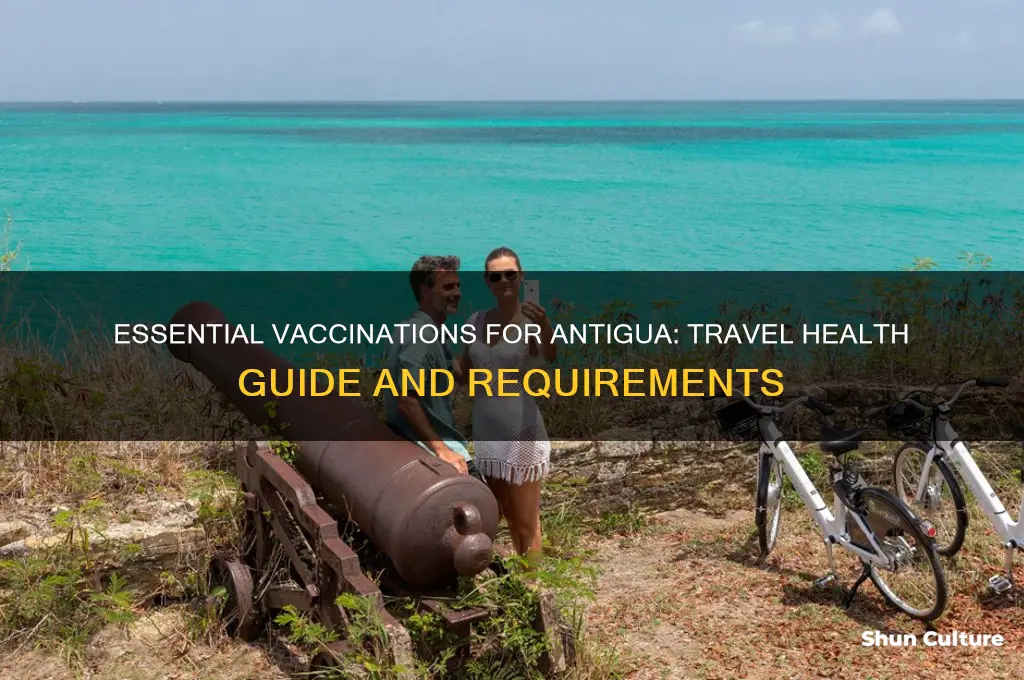 what vaccinations are needed for antigua