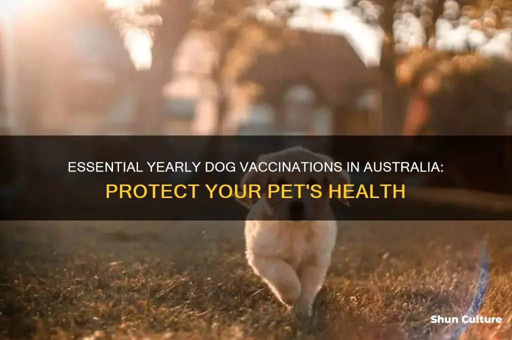 what vaccinations do dogs need yearly australia