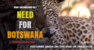 Essential Vaccinations for Safe Travel to Botswana: A Comprehensive Guide