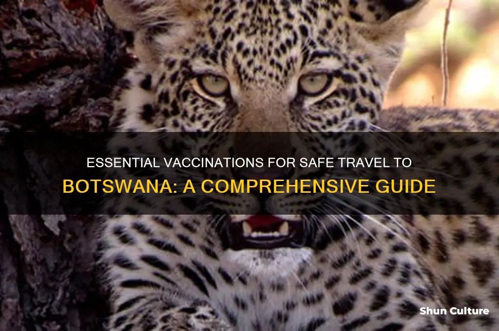 what vaccinations do I need for botswana