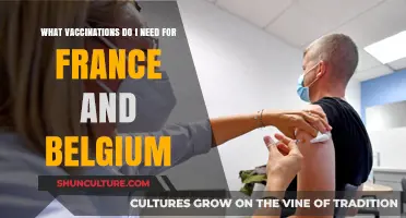 Essential Vaccinations for Travelers to France and Belgium