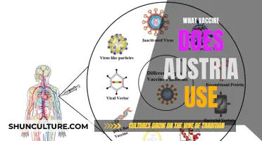 Austria's COVID-19 Vaccine Strategy: A Comprehensive Overview