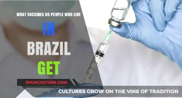 Essential Vaccines for Residents: Brazil's Immunization Schedule Explained
