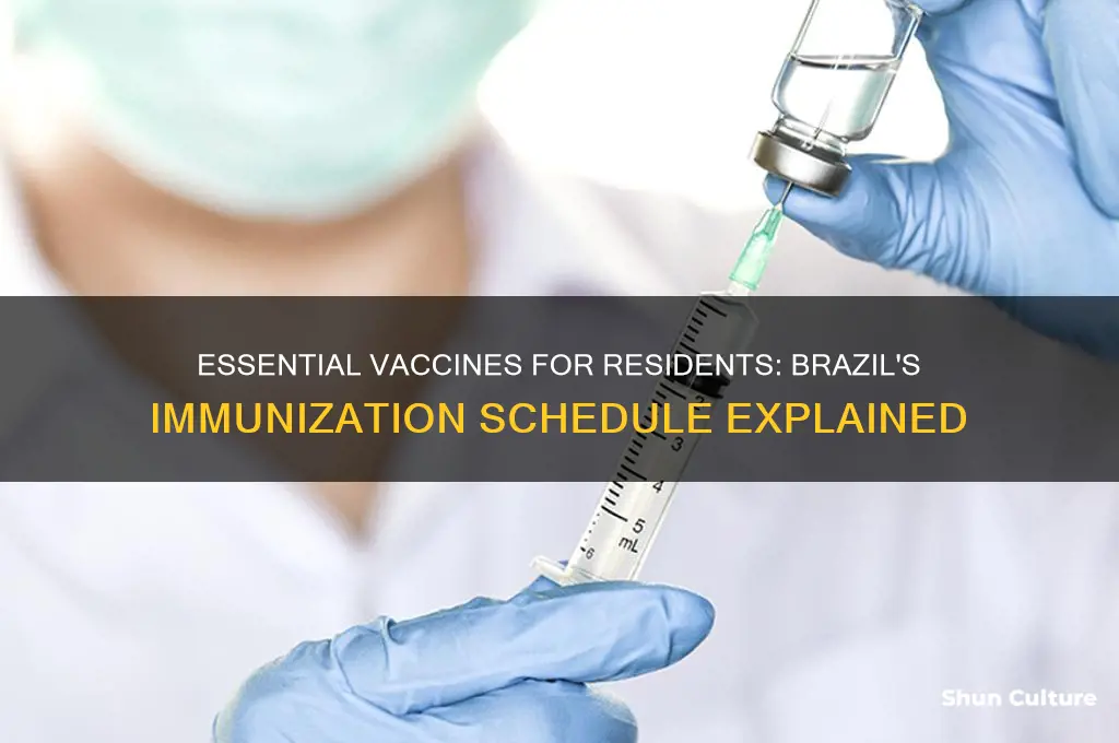 what vaccines do people who live in brazil get