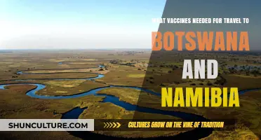 Essential Travel Vaccines for Botswana and Namibia: Your Health Guide