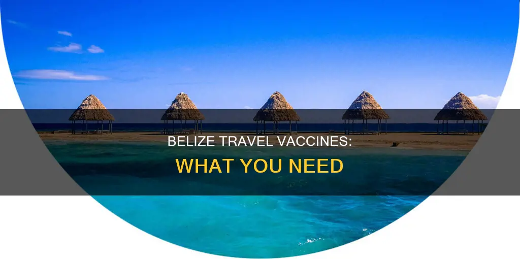 what vacines are needed to travel to belize