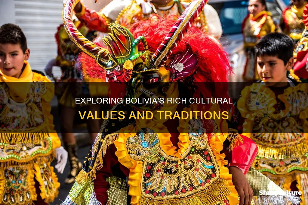 what values does the bolivia hold