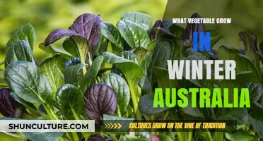 Winter Gardening: Veggies to Grow in Australia