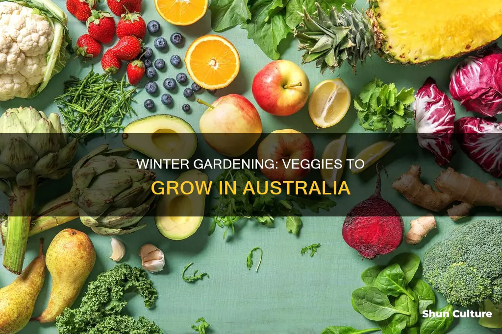 what vegetable grow in winter australia