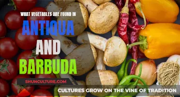 Exploring Antigua and Barbuda's Vegetable Bounty