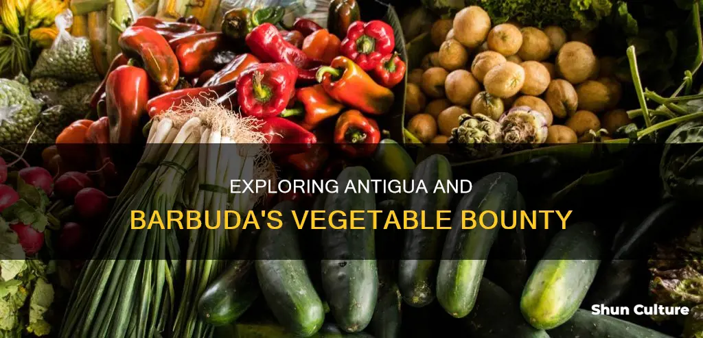 what vegetables are found in antiqua and barbuda