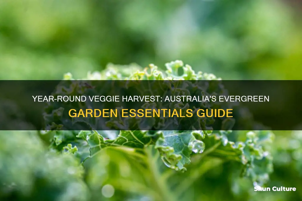 what vegetables grow all year round in australia