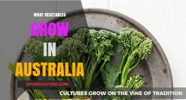Vegetable Gardening in Australia: What to Grow?