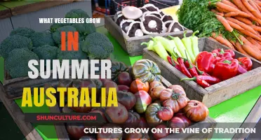 Summer Gardening: Best Vegetables to Grow in Australia