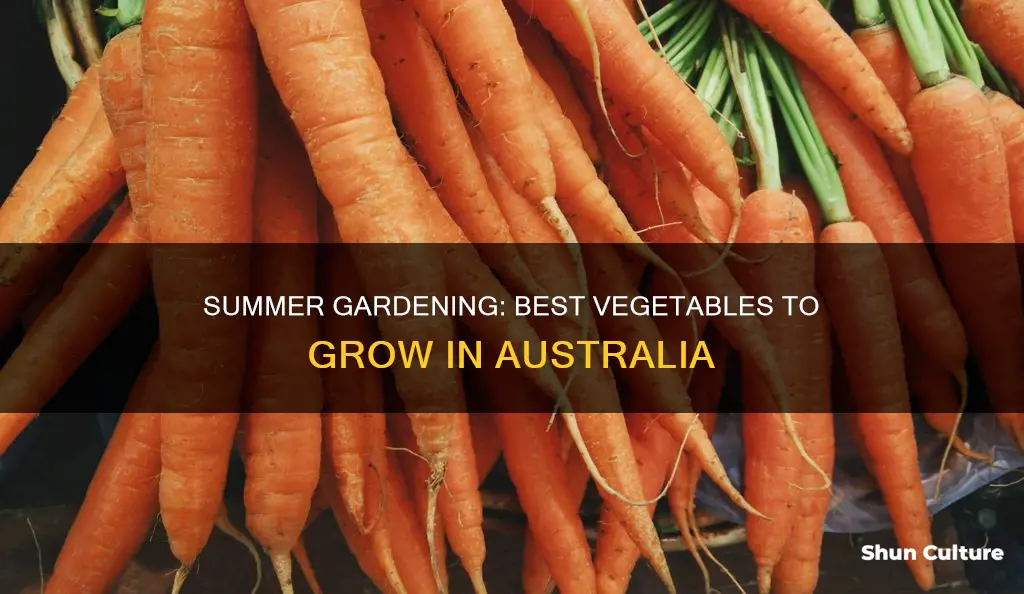 what vegetables grow in summer australia