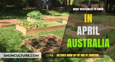 Spring Gardening: Veggies to Grow in April, Australia