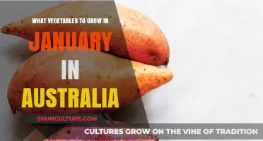 Grow Your Own Veggies: January in Australia