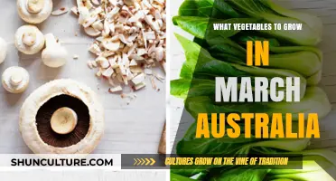 March Gardening: Best Veggies to Grow in Australia