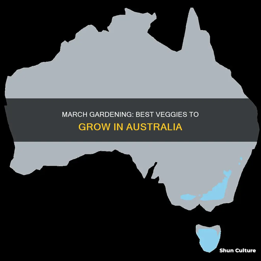 what vegetables to grow in march australia