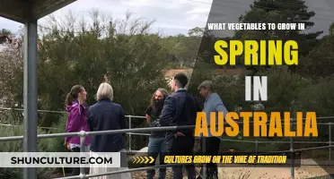 Spring Gardening: Best Vegetables to Grow in Australia
