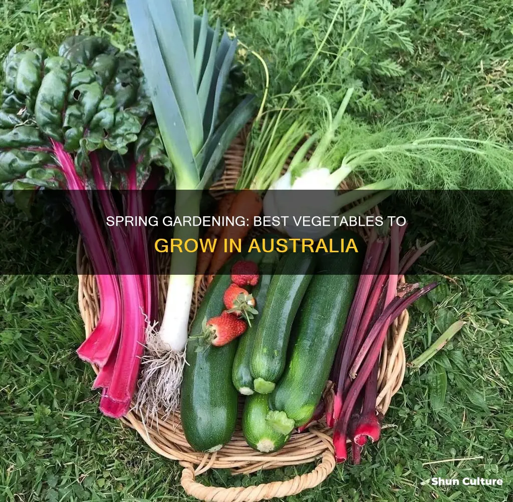 what vegetables to grow in spring in australia