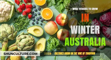 Winter Gardening: Veggies to Grow in Australia