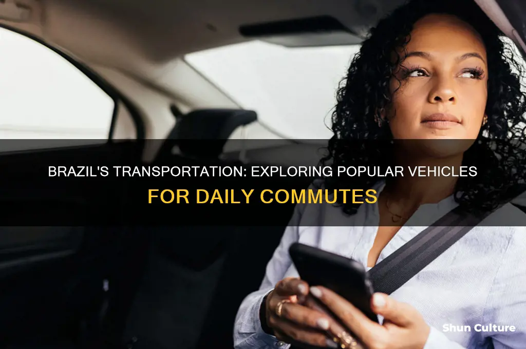 what vehicles do people in brazil use to move around