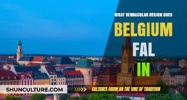Exploring Belgium's Linguistic Landscape: A Vernacular Journey