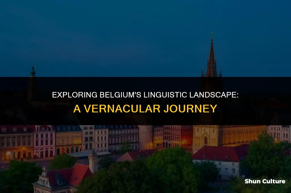 what vernacular region does belgium fal in
