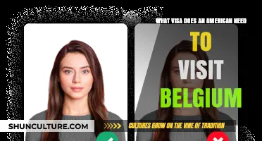 Essential Visa Guide for American Travelers Visiting Belgium