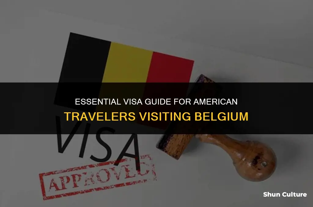 what visa does an american need to visit belgium