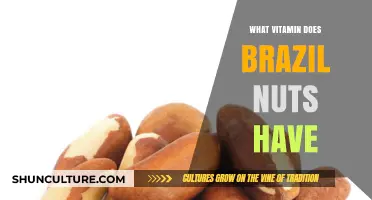 Brazil Nuts: Unlocking the Power of Selenium and Essential Nutrients