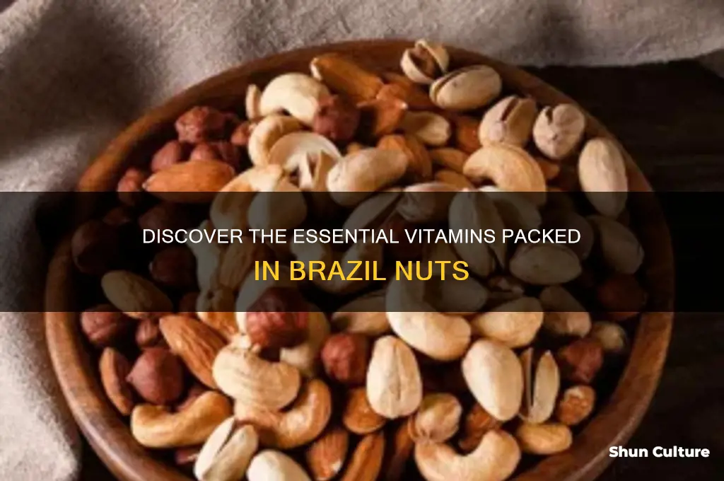 what vitamins are in brazil nuts