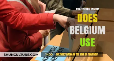 Exploring Belgium's Unique Voting System: A Comprehensive Guide