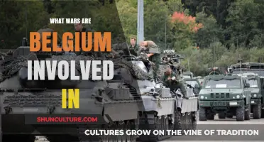 Belgium's Military Engagements: A Historical Overview of Wars and Conflicts