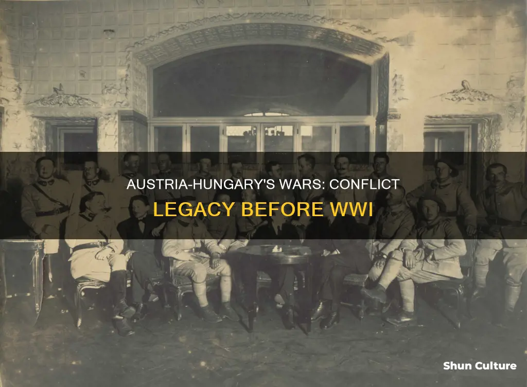 what wars were austria hungary in from 1874-1914