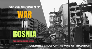 Bosnia's War Legacy: Devastation, Displacement, and Long-Term Consequences