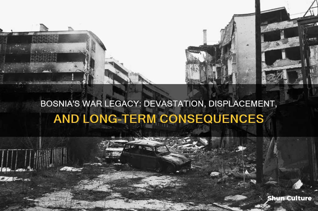 what was a consequence of the war in bosnia