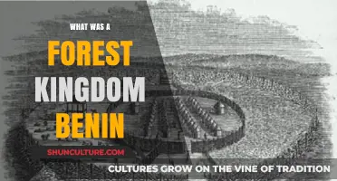Exploring the Ancient Forest Kingdom of Benin: A Historical Journey