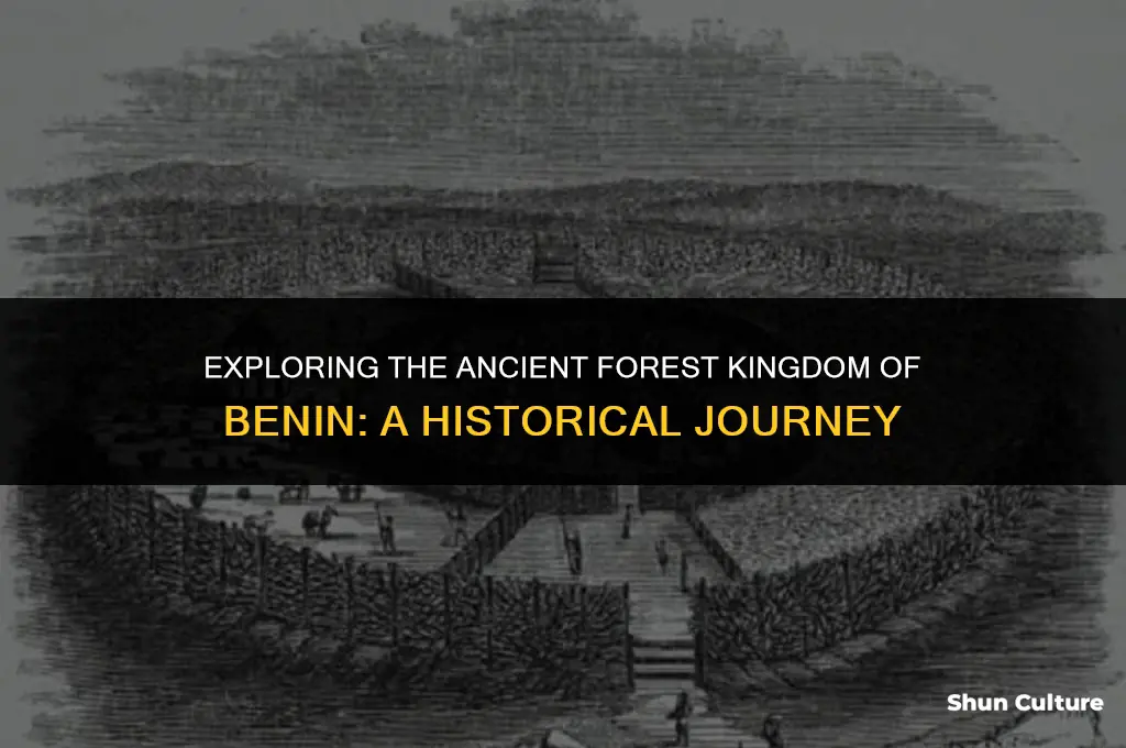 what was a forest kingdom benin