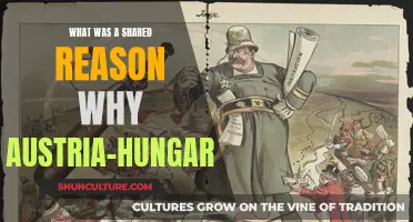 The Great War's Impact: Austria-Hungary's Downfall