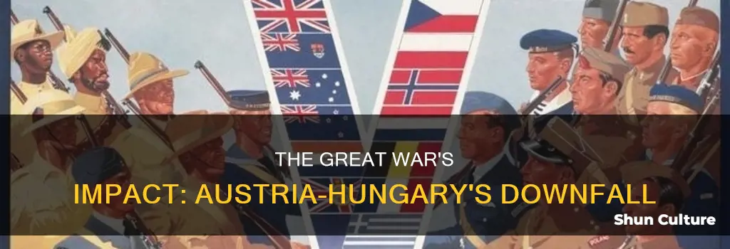 what was a shared reason why austria-hungary