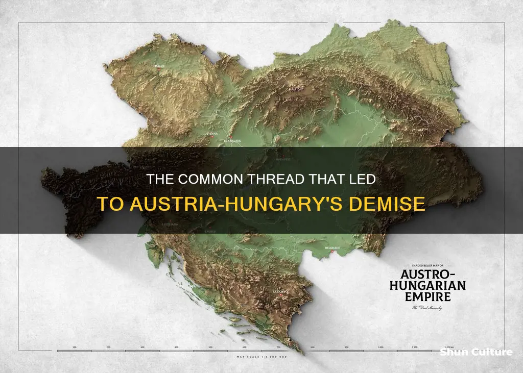 what was a shared reason why austria-hungary