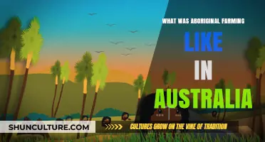 Exploring Traditional Aboriginal Farming Practices in Ancient Australia