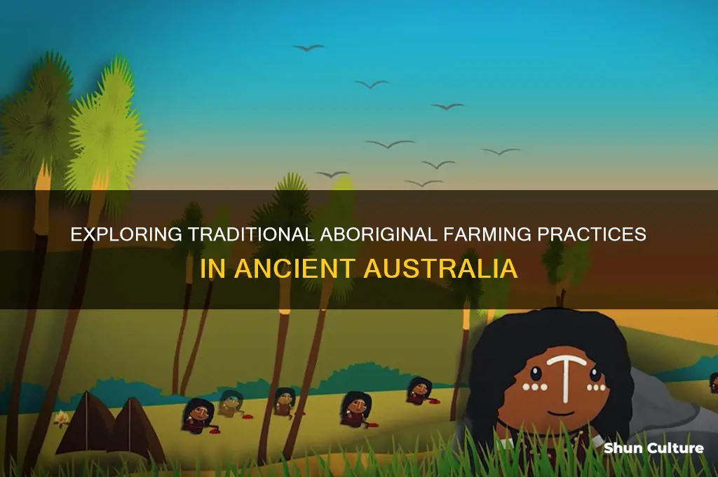 what was aboriginal farming like in australia