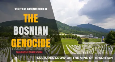 Bosnian Genocide: Achievements in Justice, Reconciliation, and Memorialization