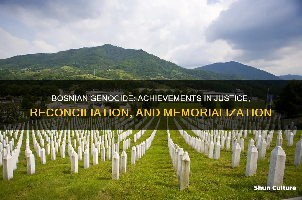 what was accomplished in the bosnian genocide
