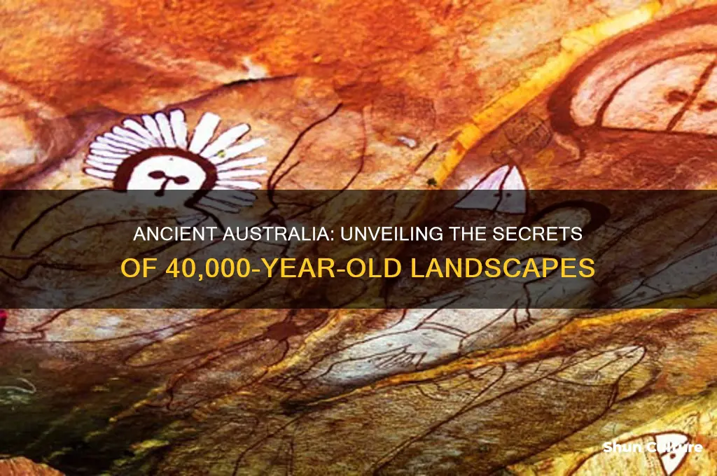 what was australia like 40000 years ago