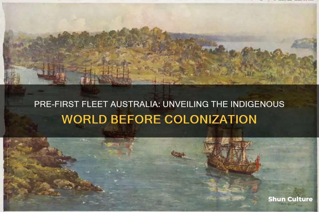 what was australia like before the first fleet arrived