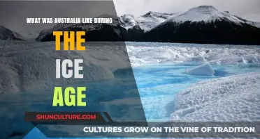 Australia's Ice Age: A Frozen Landscape and Ancient Megafauna